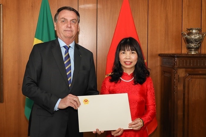 2905 vna potal dai su viet nam tai brazil pham thi kim hoa trinh quoc thu len tong thong brazil 4800895