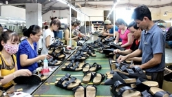 Viet Nam footwear exports to EU grow