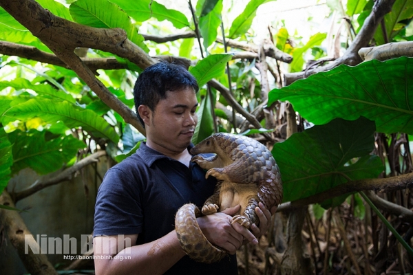 First Vietnamese conservationist receives largest environment award