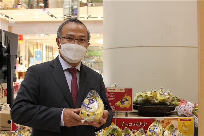 Vietnamese bananas gain a foothold in Japanese market