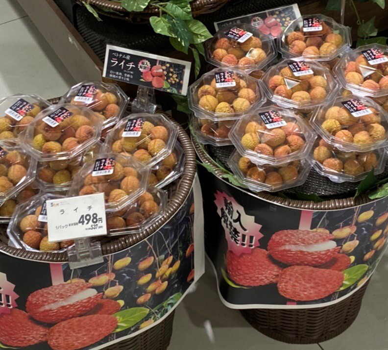 Vietnamese lychees win favour in Japan