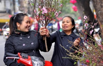 Lunar New Year holiday 2019 to last for 9 days