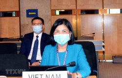 Vietnam prioritizes child right protection: Ambassador Le Thi Tuyet Mai