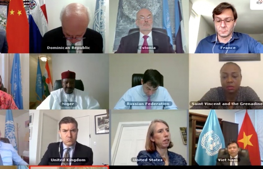 Hội đồng Bảo an Liên hợp quốc thảo luận trực tuyến về khu vực Tây Phi và Sahel