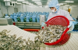 Fisheries output reaches 3.86 million tonnes in first half despite COVID-19 pandemic