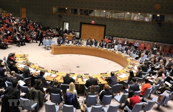 Deputy Foreign Minister Le Hoai Trung: Vietnam performing UNSC role well