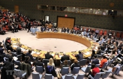 Deputy Foreign Minister Le Hoai Trung: Vietnam performing UNSC role well