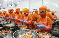 Administrative reforms crucial to capitalisation of EVFTA: Dialogue