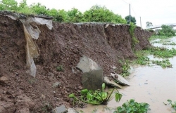 Mekong Delta faces increasing erosion along rivers, canals