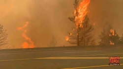 Cháy rừng ở Canada: Một mùa Hè 'khốc liệt', quân đội sẵn sàng trực chiến