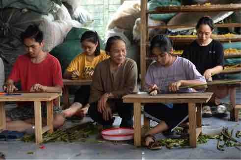 Unique in Viet Nam – Silk weaving from lotus silk by the hands of Artisan Phan Thi Thuan