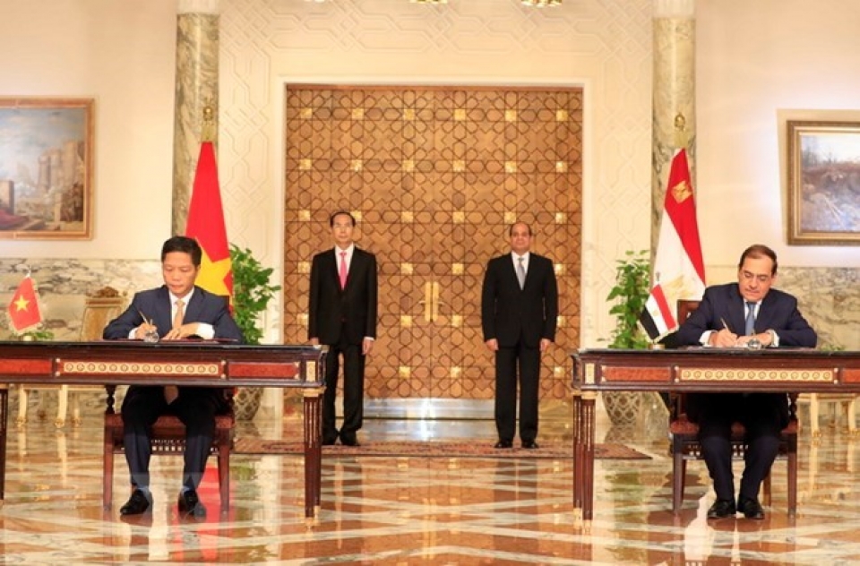 vietnam egypt issue joint statement