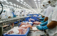 Seven-month fishery export value drops 1 percent