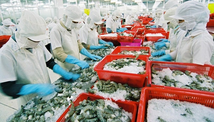 vietnamese shrimp exporters enjoy zero taxes to us