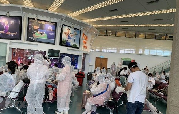 5908 more vietnamese citizens from taiwan singapore flown home