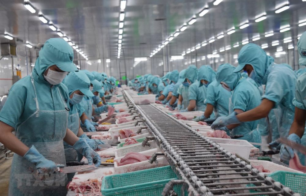 1034-seafood-exports-increase-after-evfta-comes-into-effect