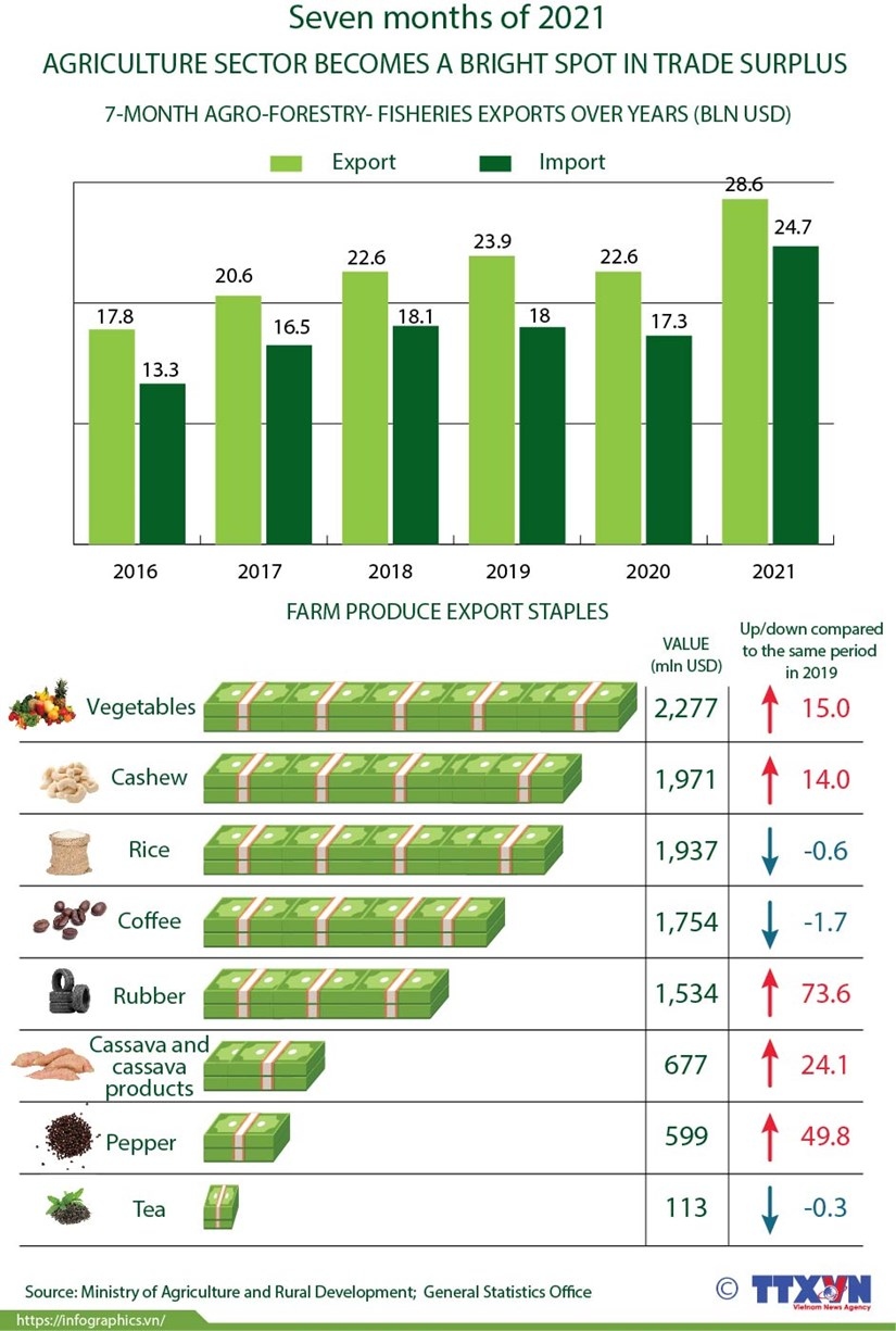 Agriculture sector becomes bright spot in trade surplus