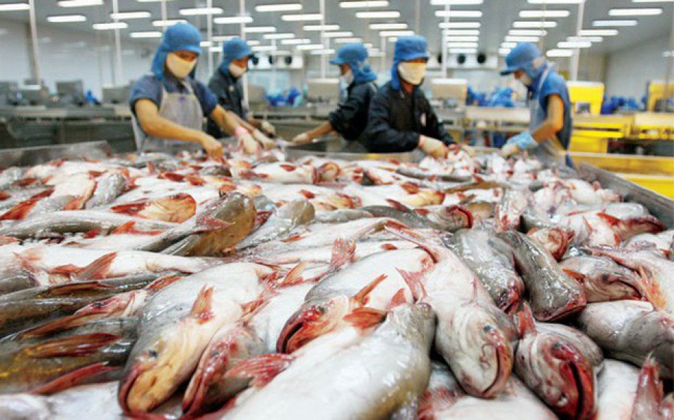 us cuts anti dumping taxes on vietnamese catfish