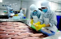 tra fish industry may fully recover in q3 directorate