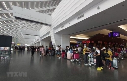 Ministry of Foreign Affairs: More than 240 Vietnamese citizens brought home from Malaysia