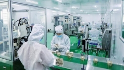 Vietnam a bright destination after COVID-19 pandemic: French investors