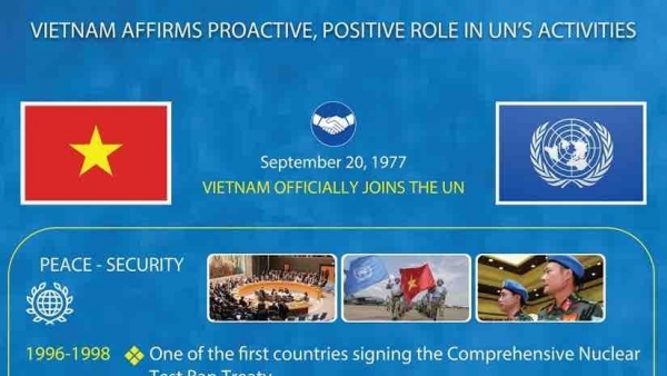 Viet Nam affirms proactive, positive role in UN's activities