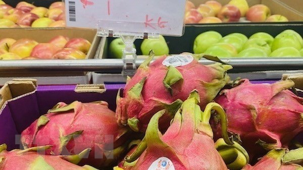 Vietnamese dragon fruit wins consumers’ favour in Australia