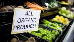 Vietnam strives to increase organic agricultural produce exports