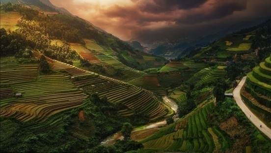 Picture of Vietnamese rice terraces enters prestigious photography contest