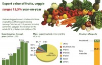 vietnam officially begins mango exports to us