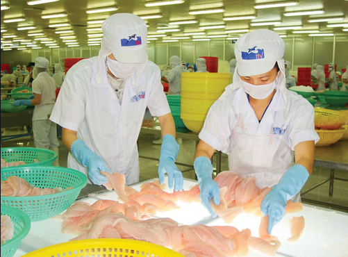 tra fish exports to malaysia see strong surge