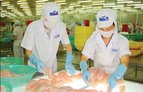 tra fish industry may fully recover in q3 directorate