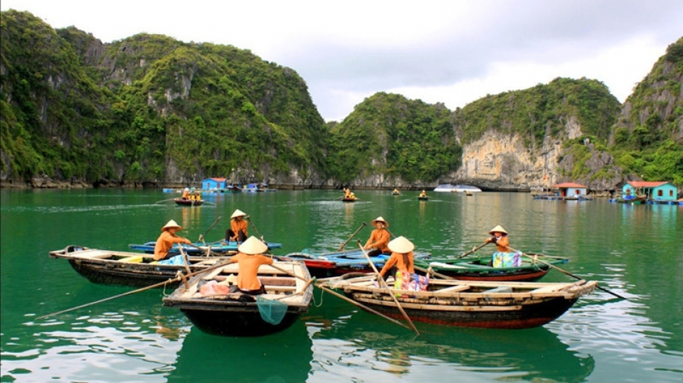 exploring serene lan ha bay the second ha long bay of vietnam