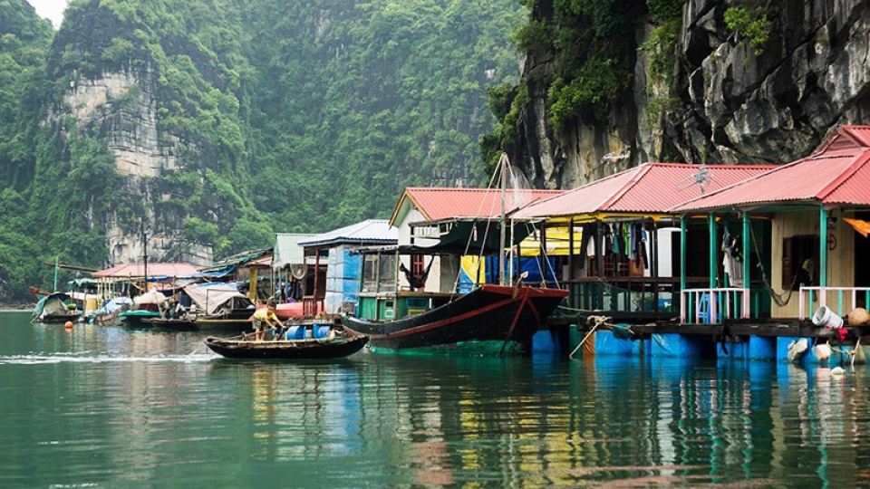 exploring serene lan ha bay the second ha long bay of vietnam