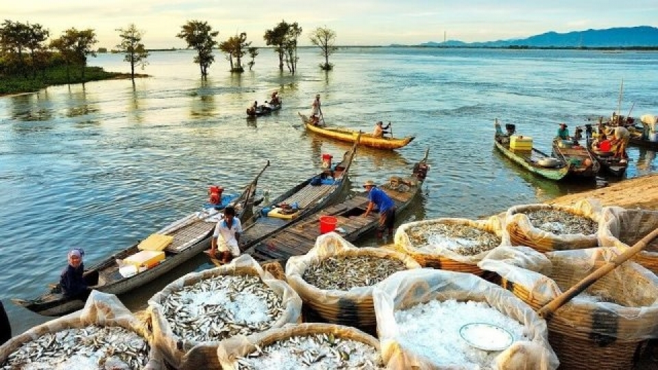 mekong delta in floating season a real travel experience