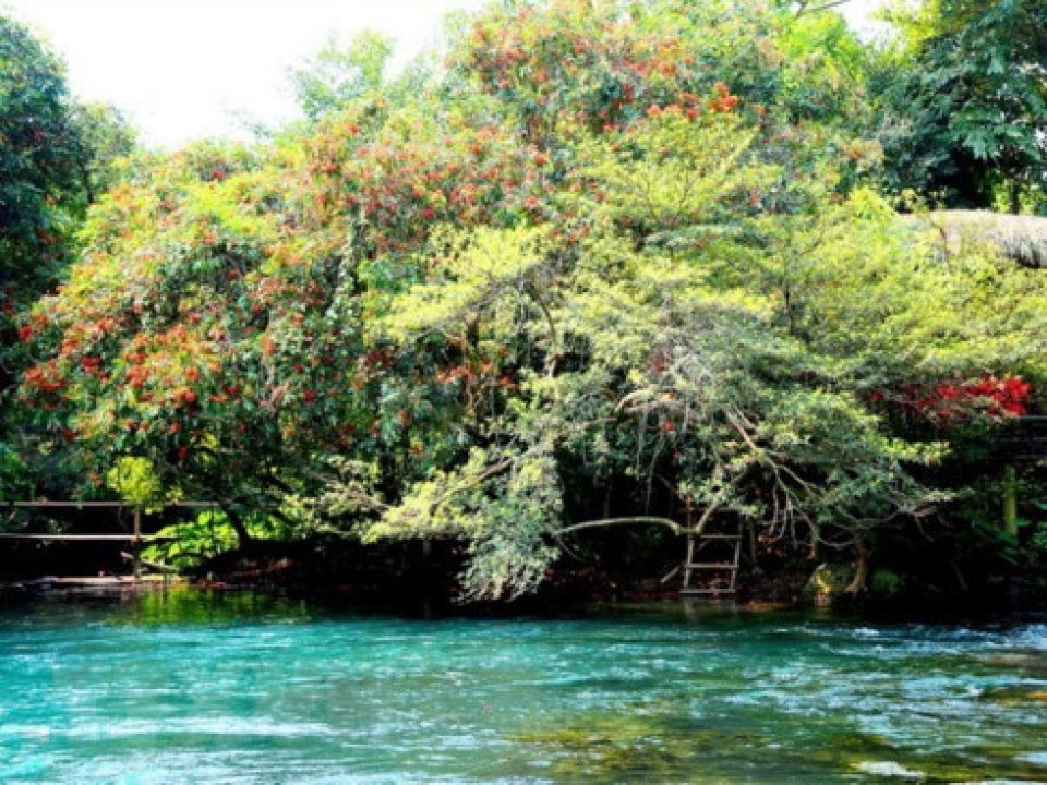 quang binh strives to welcome 43 million tourists in 2019