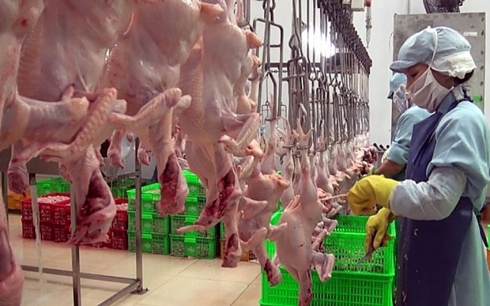 investors from poland seize opportunity to corporate in foodstuff