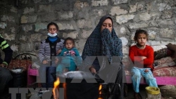 Top leader sends congratulations on UN International Day of Solidarity with the Palestinian People