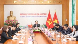 Vietnamese, Chinese Party officials hold talks virtually