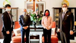 IFRC Secretary General lauds cooperation with Viet Nam