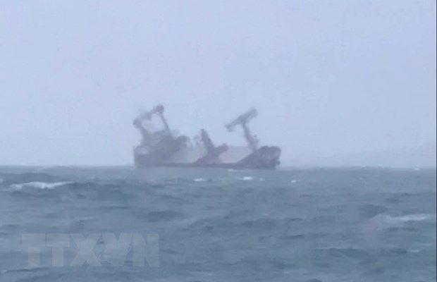 The Panama-flagged cargo ship (Source: VNA)