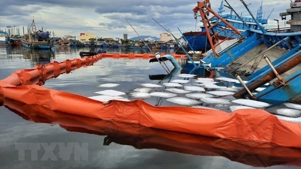 Vietnamese, French experts share experience in marine pollution control