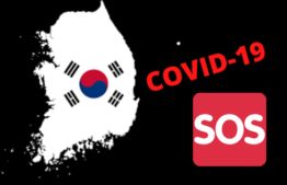 Covid-19: Hàn Quốc ghi nhận thêm 115 ca nhiễm mới, chủ yếu ở Daegu trong chiều 26/2