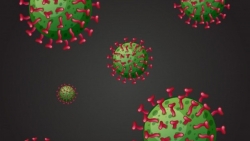 NGUY HIỂM! Anh phát hiện thêm biến thể mới của SARS-CoV-2, có thành phần làm giảm tác dụng của vaccine ngừa Covid-19