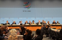 Đại hội đồng WTO họp chuẩn bị cho Hội nghị Bộ trưởng WTO lần thứ 12