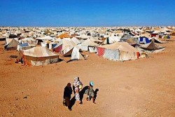 Vấn đề Tây Sahara: Quốc hội Mỹ tỏ rõ thái độ, Tây Ban Nha thay đổi lập trường, ủng hộ Morocco