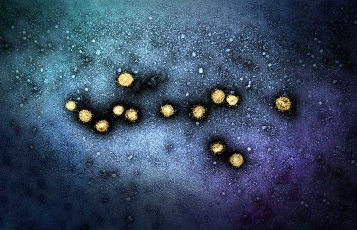 Chuyên gia Hàn Quốc bác khả năng tái nhiễm Covid-19, giải thích trường hợp dương tính lại với virus