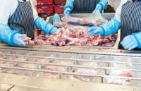 NGUY HIỂM! Phát hiện hàng trăm ca nhiễm Covid-19 tại các cơ sở chế biến thịt ở Pháp, Ireland