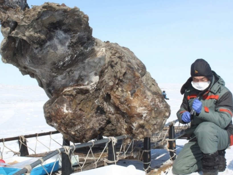 Hàng nghìn di chỉ khảo cổ ở Bắc Cực đang chìm dần