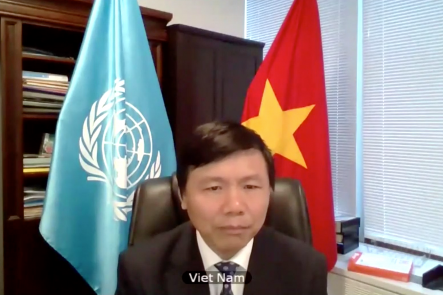 Việt Nam và Indonesia phát biểu chung tại Hội đồng Bảo an về tình hình Trung Phi